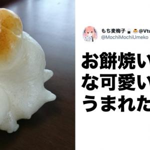 失敗を超えて もはや芸術と呼びたい料理www 7選 ガジェット通信 Getnews