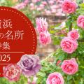 ranking5