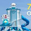 ranking7