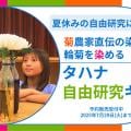 ranking8