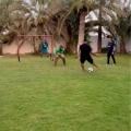ranking5