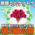 ranking5
