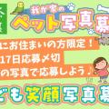 ranking9