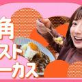 ranking8
