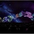 ranking9