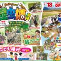 ranking7