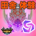 ranking7