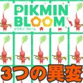 ranking3