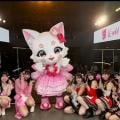 ranking7