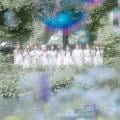 ranking5