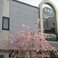 ranking8