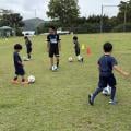ranking2