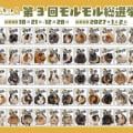 ranking2