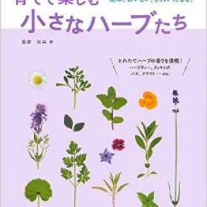 夏にオススメ、ハーブビールの作り方とは？