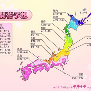 ウェザーニューズ桜の開花予想を発表　関東と近畿は今週末にピークに