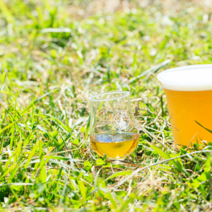麦好きよ集え！ ウイスキーとクラフトビールの野外フェス『ウイスキー＆ビアキャンプ長和町2015』はいいぞ！ すごくいいぞ！