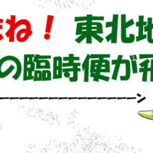 ANAが東北地方に臨時便で就航再開「東北への交通アクセス充実を図るため」