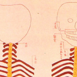 ちょっぴり可愛い♪ 江戸時代に医師が描いた人骨の仕組みの図が愛嬌アリ！
