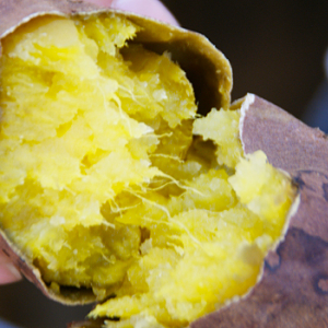川越で唯一の陶器製の壺で焼く、壺焼き芋の店『つぼやき 平本屋』