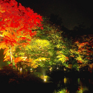 優雅な紅葉の名所「逍遥園ライトアップ」世界遺産・日光で本格的な秋色を堪能しよう‼