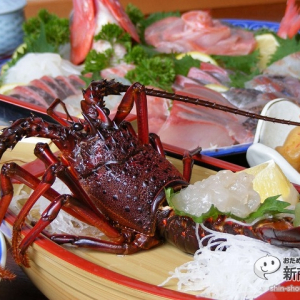 南伊豆町内の民宿が一斉に『伊勢エビまつり』開催！他では味わえない極上伊勢海老を食べて泊まれるお得プラン！