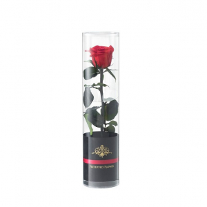 『プリザーブドフラワーDENPO「一輪のバラ」』お祝いの気持ちを鮮やかで日持ちのするバラの花に添えて！