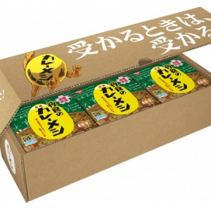 新発売の「日清夜食のカレーメシ」を“フライングゲット”して、受験に1859（いっぱつごうかく）せよ！