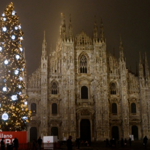 新年への想いもこめて。１万個のクリスタルが輝く、ミラノのクリスマスツリー