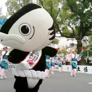 踊るとカワイイ・・・!?　カツオ人間が「よさこい祭り」に参加