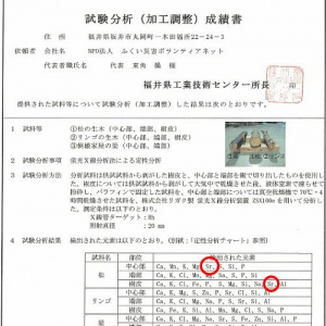 岩手の五山送り火薪の発案者、ストロンチウムが検出された事実を隠していた？