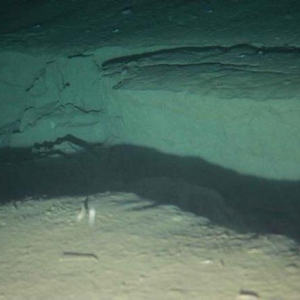 震源海域の海底に長さ80メートルの亀裂　写真と動画を公開