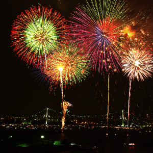 東京を代表する花火大会「東京湾大華火祭」が2016年から当面休止に