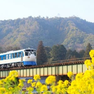 【えひめ最新レポ】 「日本最遅新幹線」も！JR「予土線3兄弟」マニアックすぎる観光列車