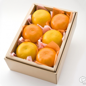 日本で唯一、京橋千疋屋で幻の柑橘果実『ぽめろまん』が販売開始！ 数量限定＆2月下旬までの期間限定で登場！