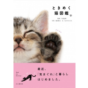 部屋に置いておくだけでウレシイ！2月22日（猫の日）発売の、心ときめく新感覚の猫図鑑とは？