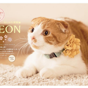 365日ずっと癒されたい！人気絶頂のおしゃれ美猫LEON、4月はじまりのブックスタイルカレンダーに初登場