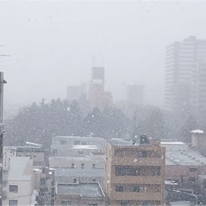 一足先にお花見気分！ピンクなドリンクが春を呼ぶ♡