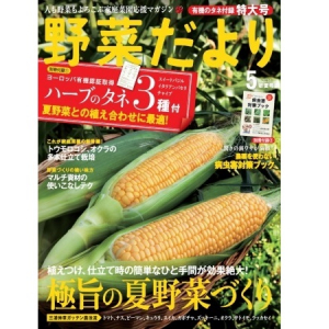 ハーブのタネ3種が付いてくる!! 家庭菜園誌「野菜だより」5月初夏号で、今年は夏野菜づくりにトライ！