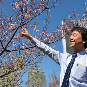 春だ！ 桜が咲いたので樹木医さんにお仕事や花の愛で方について聞いてみた