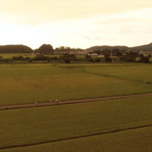 やっぱ日本はこの美しさ！秋田県のありのままの姿を映像にしたaugment5「True North, Akita.」