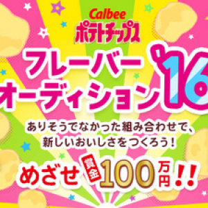 100万円ってこんな簡単にGETできちゃうの！？　ポテチ「フレーバーオーディション」をやってみた！