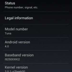 Nexus Primeのスクリーンショットがリーク、Ice Cream SandwichはAndroid 4.0、Nexus Prime（GT-I9250）のコードネームは”Tuna”