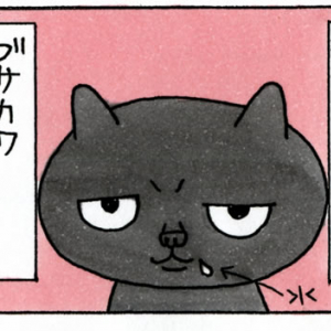 【マンガ】うちの猫ポン