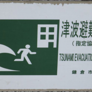 自然豊かな鎌倉に住む[上] リアル津波映像公開で防災意識を啓発