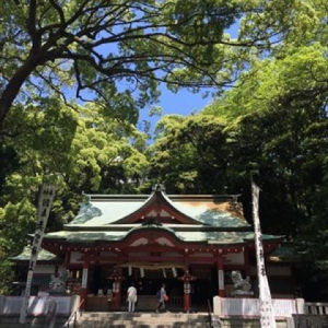 熱海のパワースポット「来宮神社」で樹齢２０００年以上の大楠に触れる旅