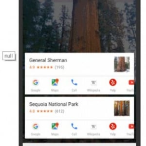 Google、Now On Tapで画像からの検索を可能に