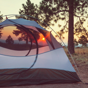 週末は人里離れたキャンプ場で静かに過ごす。それならコンパクトSUVをチョイス！