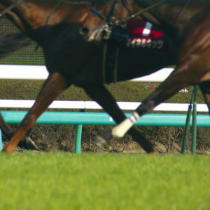 「3冠馬」目指すオルフェーヴル　史上7頭目の偉業達成に「フラグ」立つ？