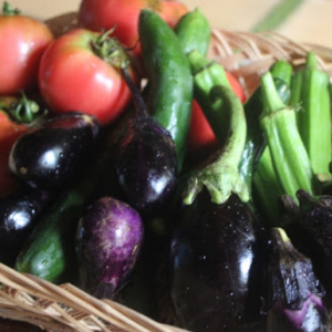 野菜をたっぷり食べられる夏の定番「ラタトゥイユ」