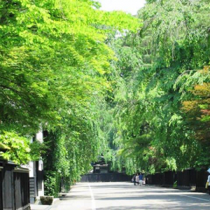 【女を磨く旅】緑ふる角館と美人になれる湯の一軒宿